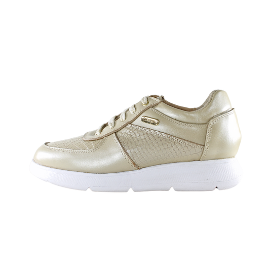 Tenis Bruma ✨