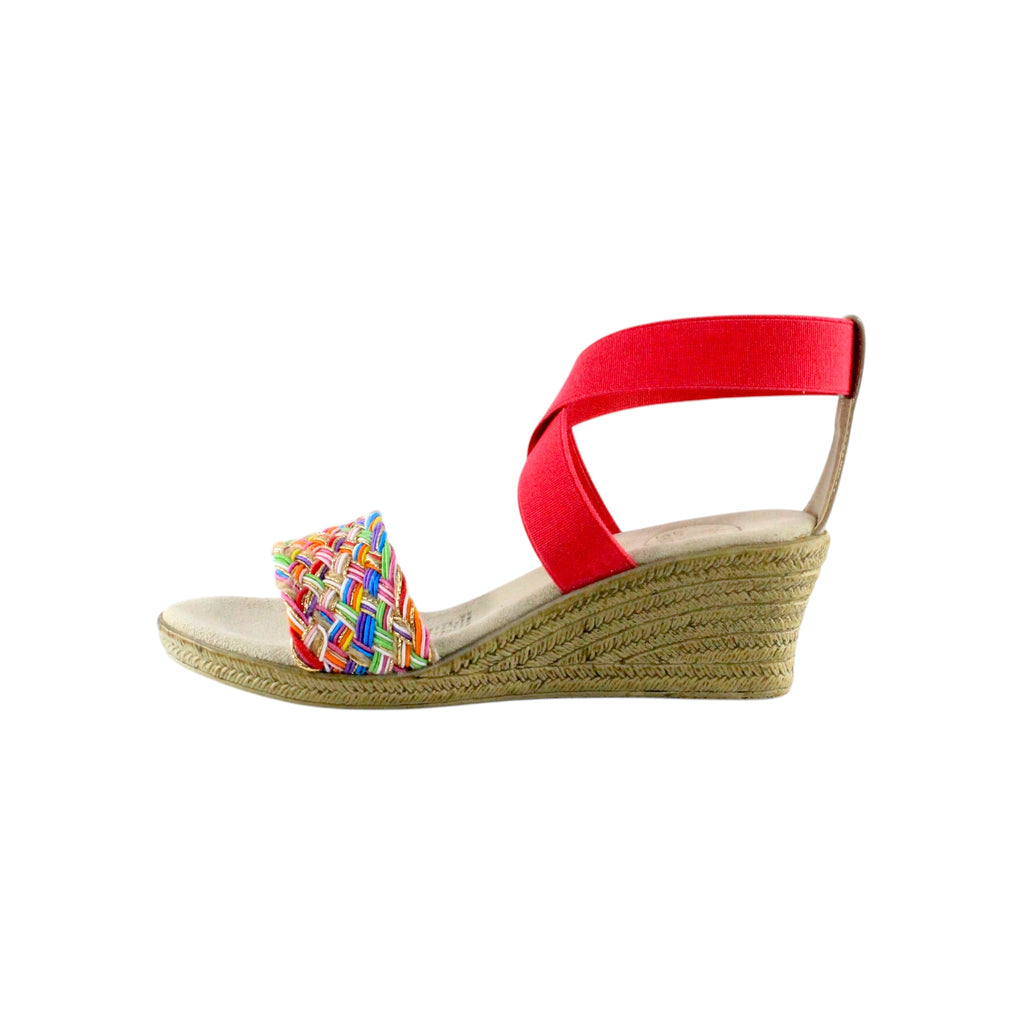Stela Rainbow 🌈 | NEW